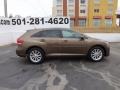 2009 Sunset Bronze Mica Toyota Venza I4  photo #8