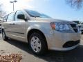 2013 Sandstone Dodge Grand Caravan SE  photo #4