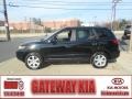 2009 Ebony Black Hyundai Santa Fe Limited  photo #1