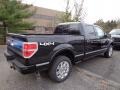 2013 Tuxedo Black Metallic Ford F150 Platinum SuperCrew 4x4  photo #2