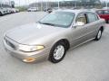Light Bronzemist Metallic - LeSabre Custom Photo No. 10
