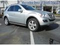 Iridium Silver Metallic - ML 350 Photo No. 1
