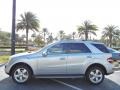 Iridium Silver Metallic - ML 350 Photo No. 4