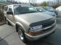 2002 Light Pewter Metallic Chevrolet S10 LS Regular Cab  photo #3