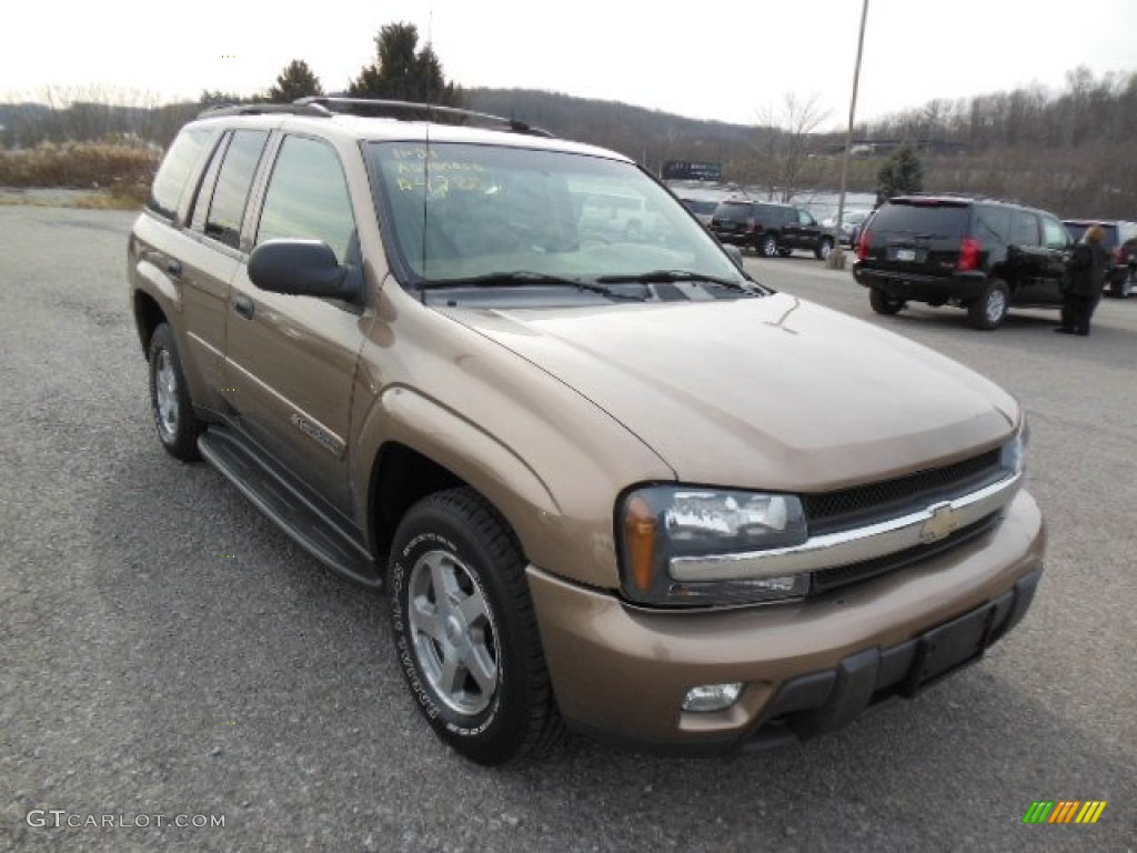 2003 TrailBlazer LS 4x4 - Sandalwood Metallic / Medium Oak photo #1