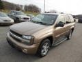 2003 Sandalwood Metallic Chevrolet TrailBlazer LS 4x4  photo #3