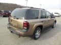 Sandalwood Metallic 2003 Chevrolet TrailBlazer LS 4x4 Exterior