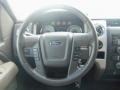 2010 Red Candy Metallic Ford F150 XLT SuperCrew  photo #17