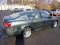 Cypress Green Pearl - GS 300 AWD Photo No. 11