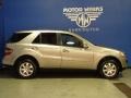 Pewter Metallic - ML 350 4Matic Photo No. 10