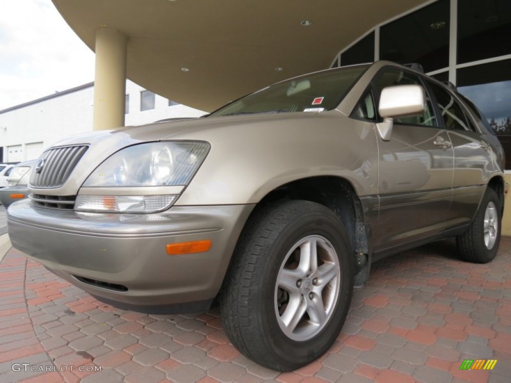 1999 RX 300 - Burnished Gold Metallic / Ivory photo #1