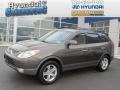 Dark Bronze Metallic 2008 Hyundai Veracruz Limited AWD