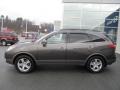 Dark Bronze Metallic - Veracruz Limited AWD Photo No. 2