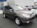Dark Bronze Metallic - Veracruz Limited AWD Photo No. 5