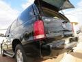 Black Raven - Escalade  Photo No. 9