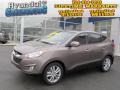 Chai Bronze - Tucson Limited AWD Photo No. 1