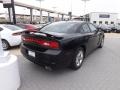 2013 Pitch Black Dodge Charger SXT  photo #4