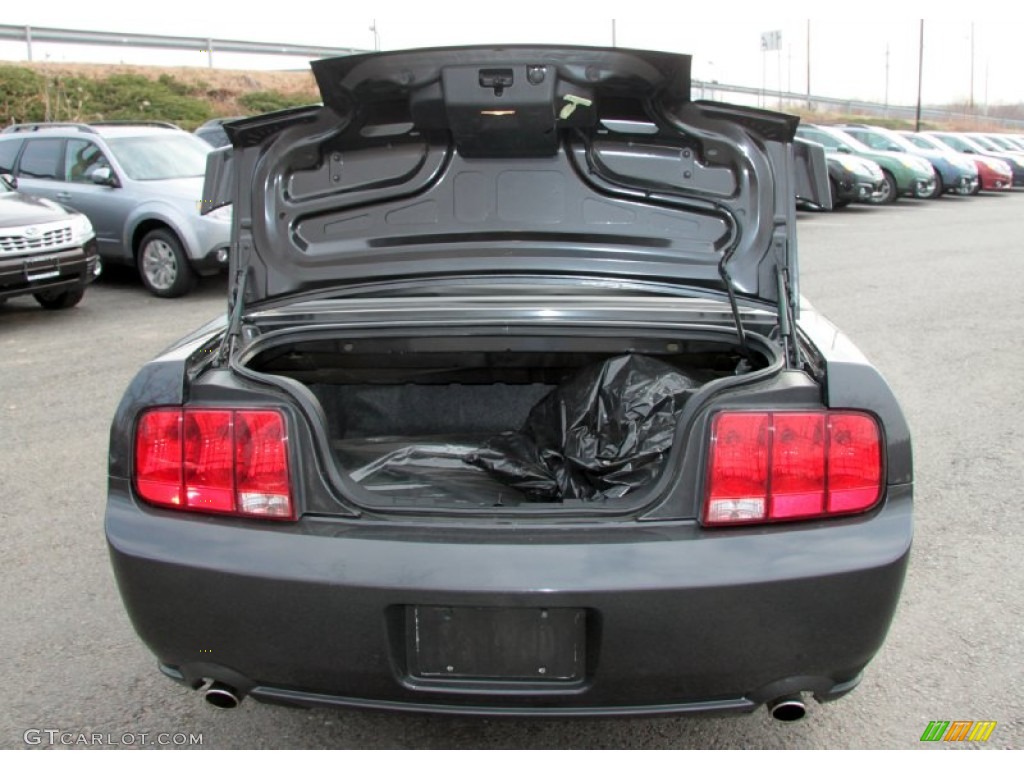 2007 Mustang GT Premium Convertible - Alloy Metallic / Dark Charcoal photo #9