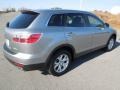 Liquid Silver Meatllic - CX-9 Sport Photo No. 5