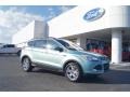 2013 Frosted Glass Metallic Ford Escape SE 2.0L EcoBoost  photo #1