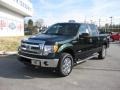 2013 Green Gem Metallic Ford F150 XLT SuperCrew 4x4  photo #2