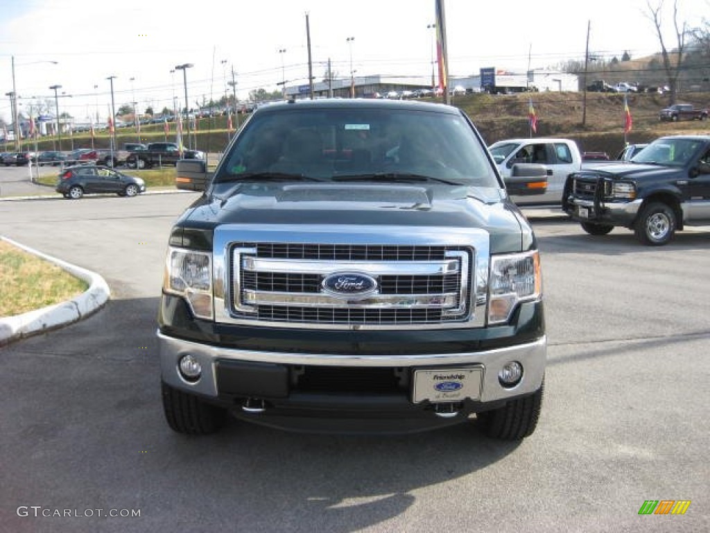 2013 F150 XLT SuperCrew 4x4 - Green Gem Metallic / Steel Gray photo #3