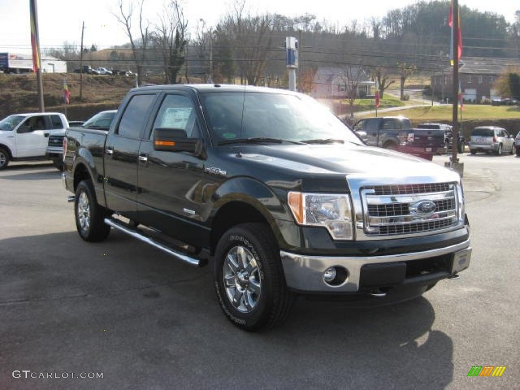 2013 F150 XLT SuperCrew 4x4 - Green Gem Metallic / Steel Gray photo #4