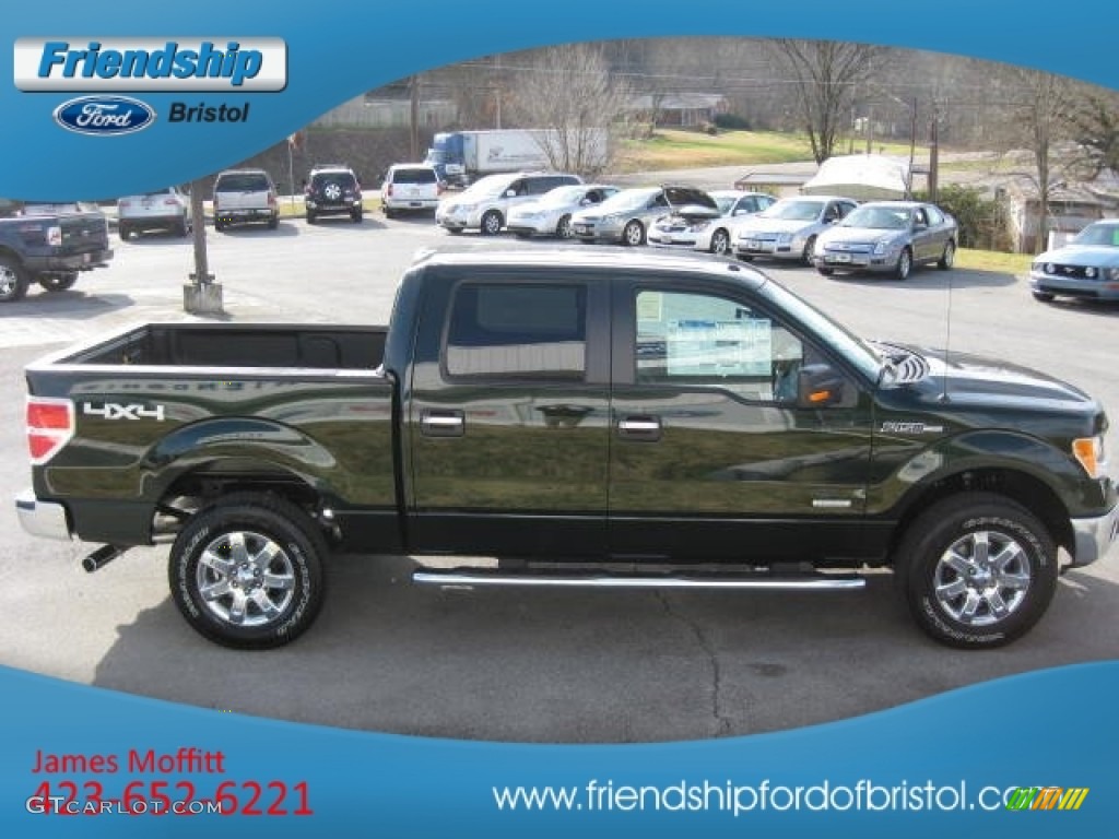 2013 F150 XLT SuperCrew 4x4 - Green Gem Metallic / Steel Gray photo #5