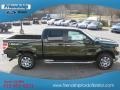 Green Gem Metallic - F150 XLT SuperCrew 4x4 Photo No. 6