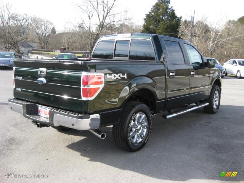 2013 F150 XLT SuperCrew 4x4 - Green Gem Metallic / Steel Gray photo #6
