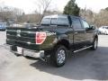 Green Gem Metallic - F150 XLT SuperCrew 4x4 Photo No. 7