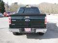 Green Gem Metallic - F150 XLT SuperCrew 4x4 Photo No. 8