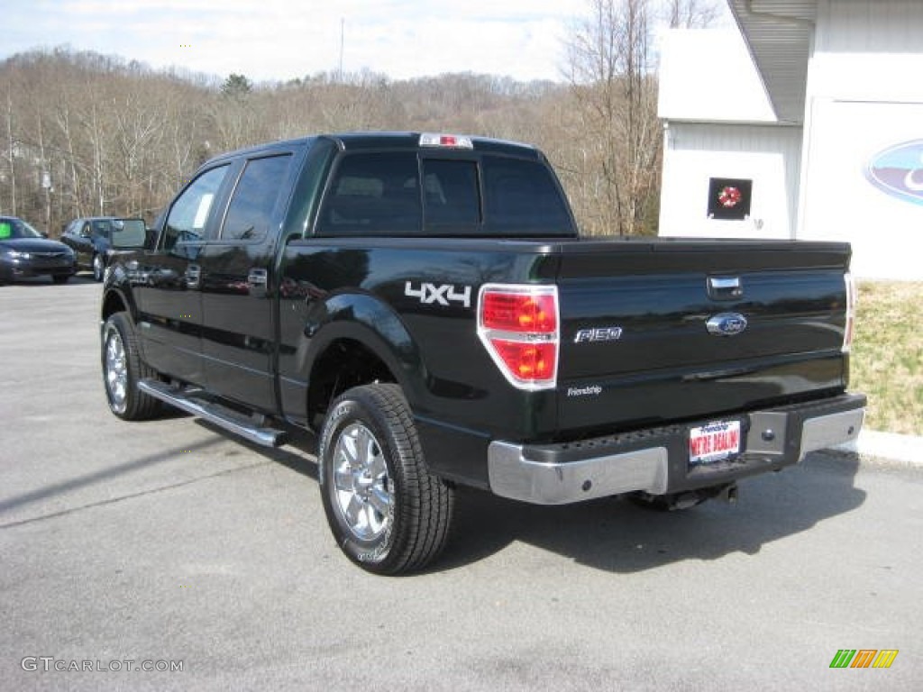 2013 F150 XLT SuperCrew 4x4 - Green Gem Metallic / Steel Gray photo #8