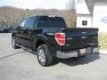 2013 Green Gem Metallic Ford F150 XLT SuperCrew 4x4  photo #8