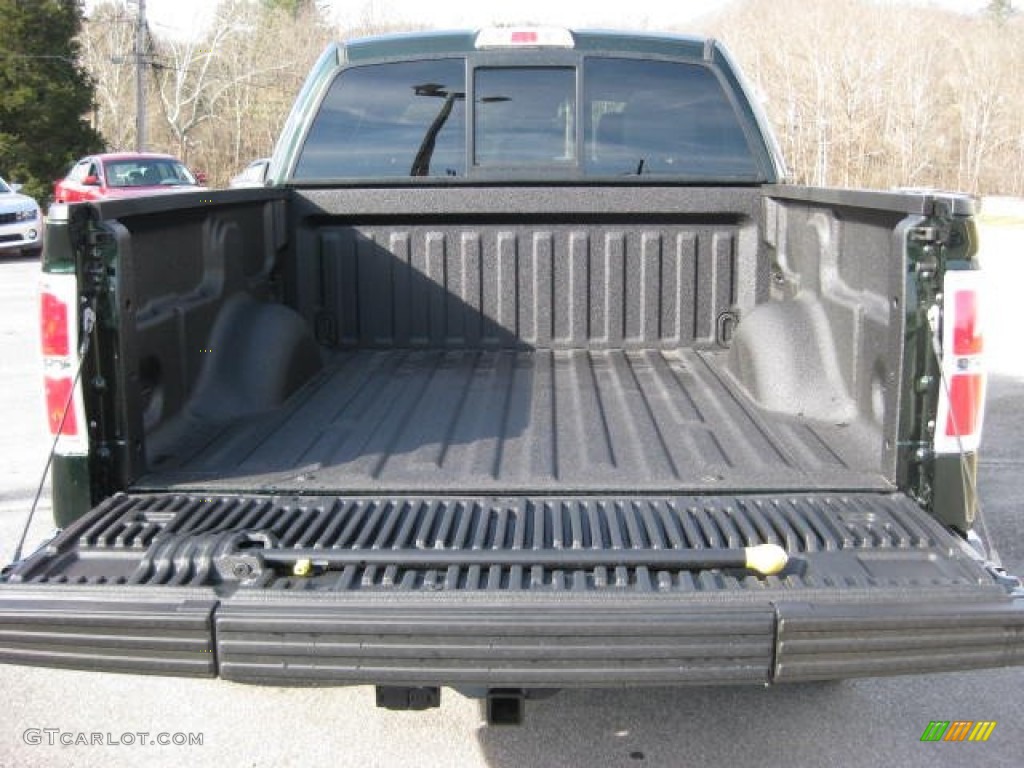 2013 F150 XLT SuperCrew 4x4 - Green Gem Metallic / Steel Gray photo #9