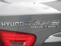 Carbon Gray Mist - Elantra GLS Photo No. 18