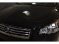 Super Black - Maxima 3.5 SV Premium Photo No. 11
