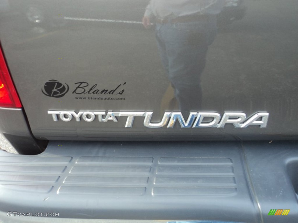 2005 Tundra SR5 Access Cab 4x4 - Phantom Gray Pearl / Light Charcoal photo #25