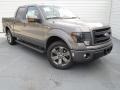 Sterling Gray Metallic 2013 Ford F150 FX2 SuperCrew Exterior