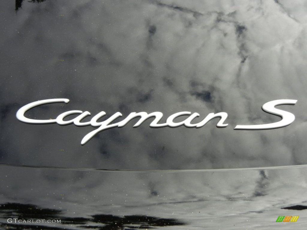 2008 Porsche Cayman S Marks and Logos Photos