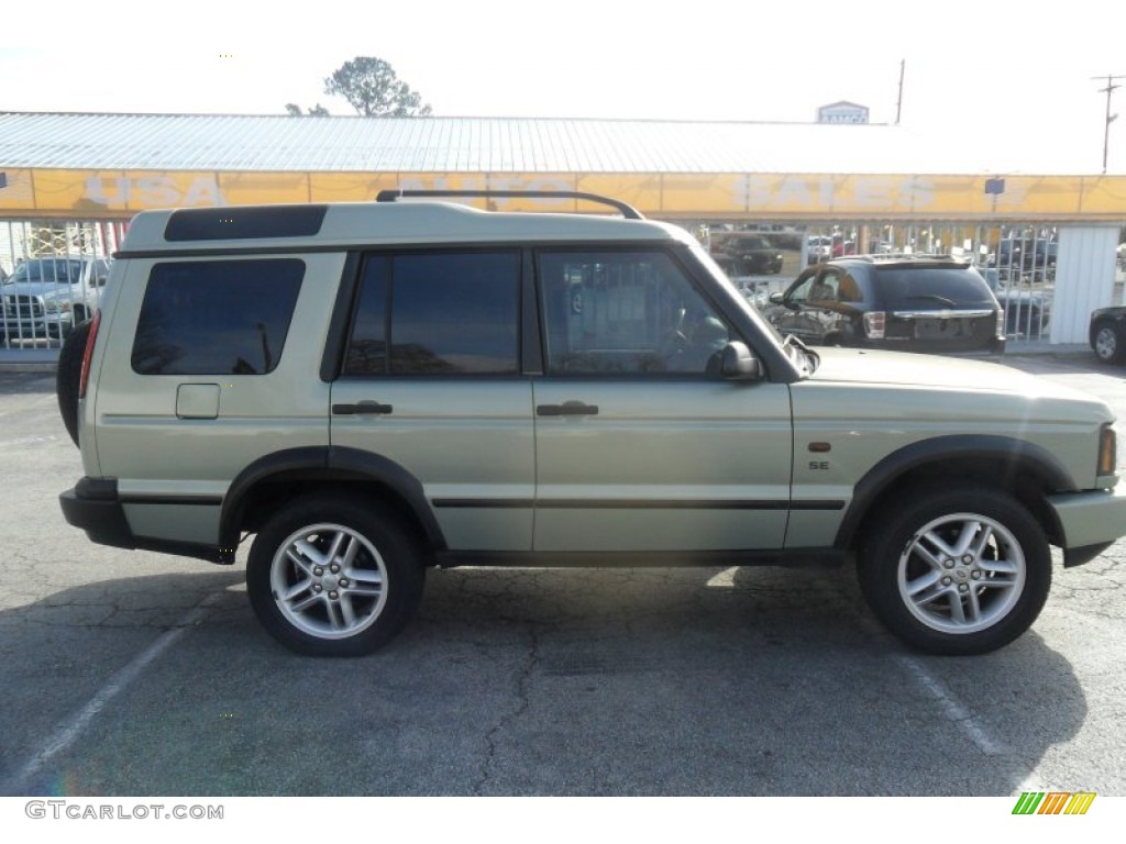 2003 Discovery SE - Epsom Green / Alpaca Beige photo #4