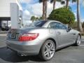 2013 Paladium Silver Metallic Mercedes-Benz SLK 250 Roadster  photo #3