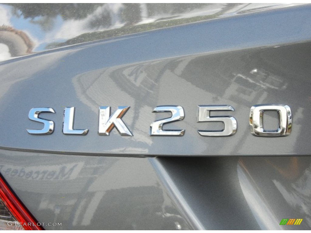 2013 Mercedes-Benz SLK 250 Roadster Marks and Logos Photo #74289768