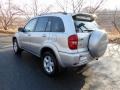 Titanium Metallic - RAV4 4WD Photo No. 5