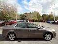 Gold Mist Metallic - Malibu LS Sedan Photo No. 9