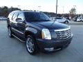 2010 Galaxy Gray Cadillac Escalade Luxury  photo #2