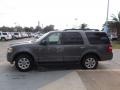 2010 Sterling Grey Metallic Ford Expedition XLT  photo #5