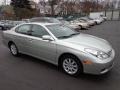Millennium Silver Metallic - ES 300 Photo No. 3