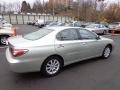 Millennium Silver Metallic - ES 300 Photo No. 11