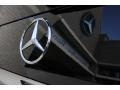 Black - GL 450 4Matic Photo No. 8